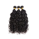 Bundle Deals With Closure Natural Curly Virgin Human Hair Natural Black